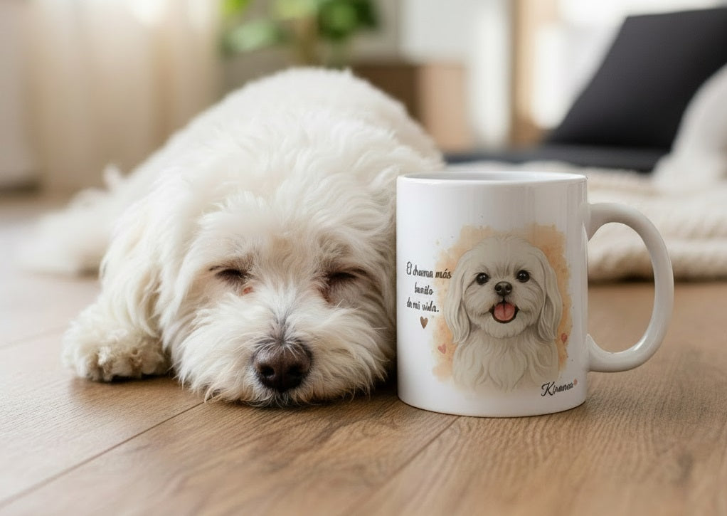 Bichón Maltés junto a taza cerámica con ilustración en acuarela – escena lifestyle Kiranoa